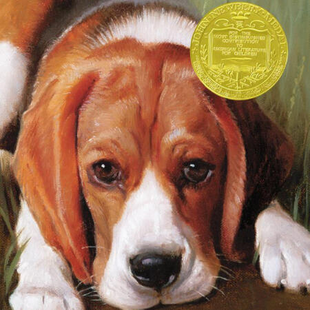 "AUDIOBOOK: Shiloah by Phyllis Reynolds Naylor for Learning Ally "